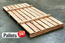 Pallets RT 100